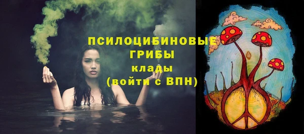 винт Балахна